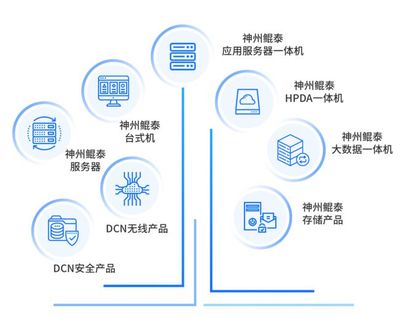 神州数码 一体两翼，云程万里
